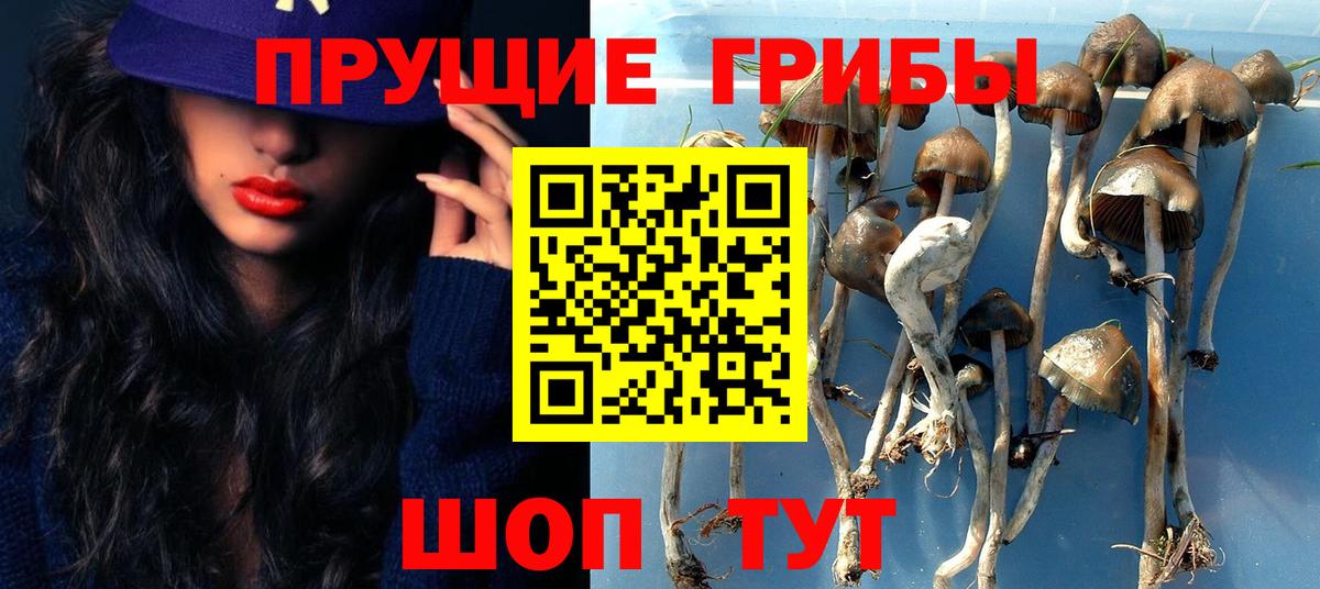 Псилоцибиновые грибы мухоморы Богородицк