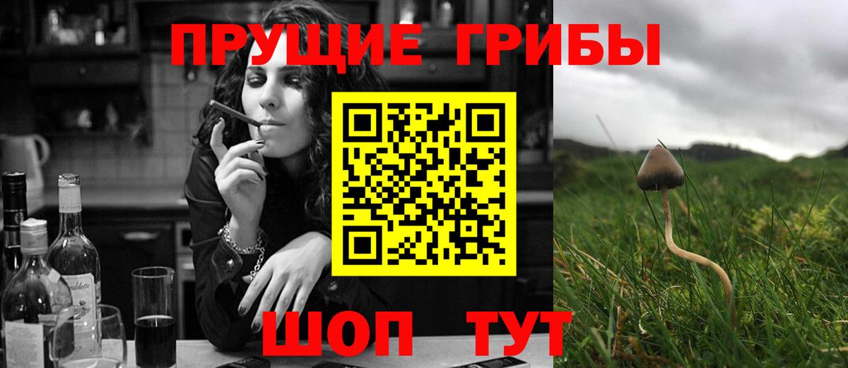 Богородицк  Галлюциногенные грибы мухоморы  что такое   Вход с VPN 